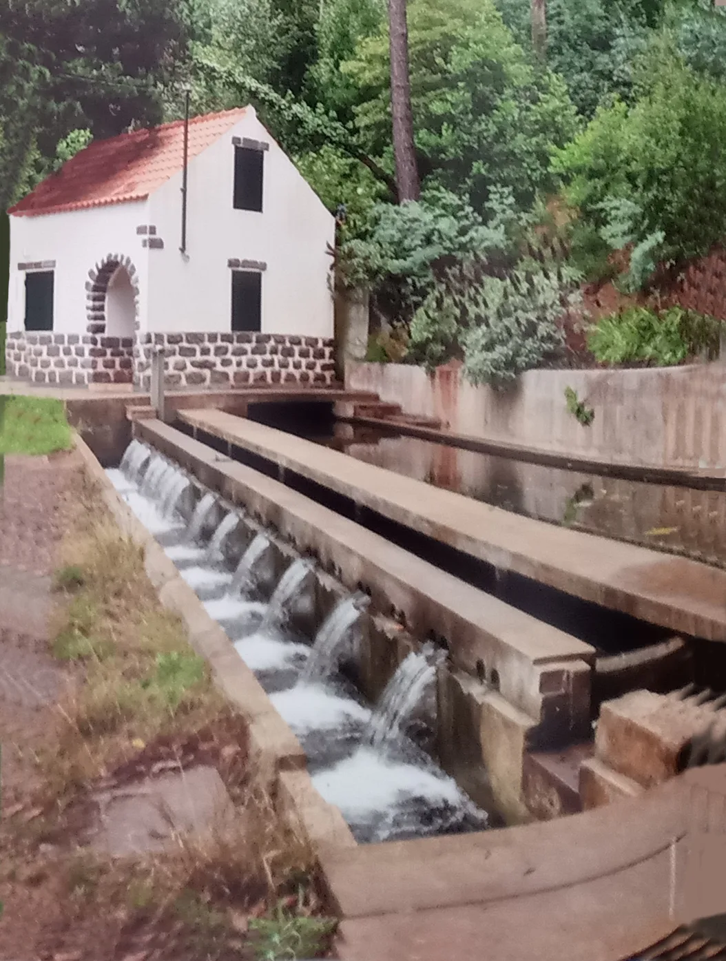 A stone division box where one levada splits into separate outflows, each owner's share