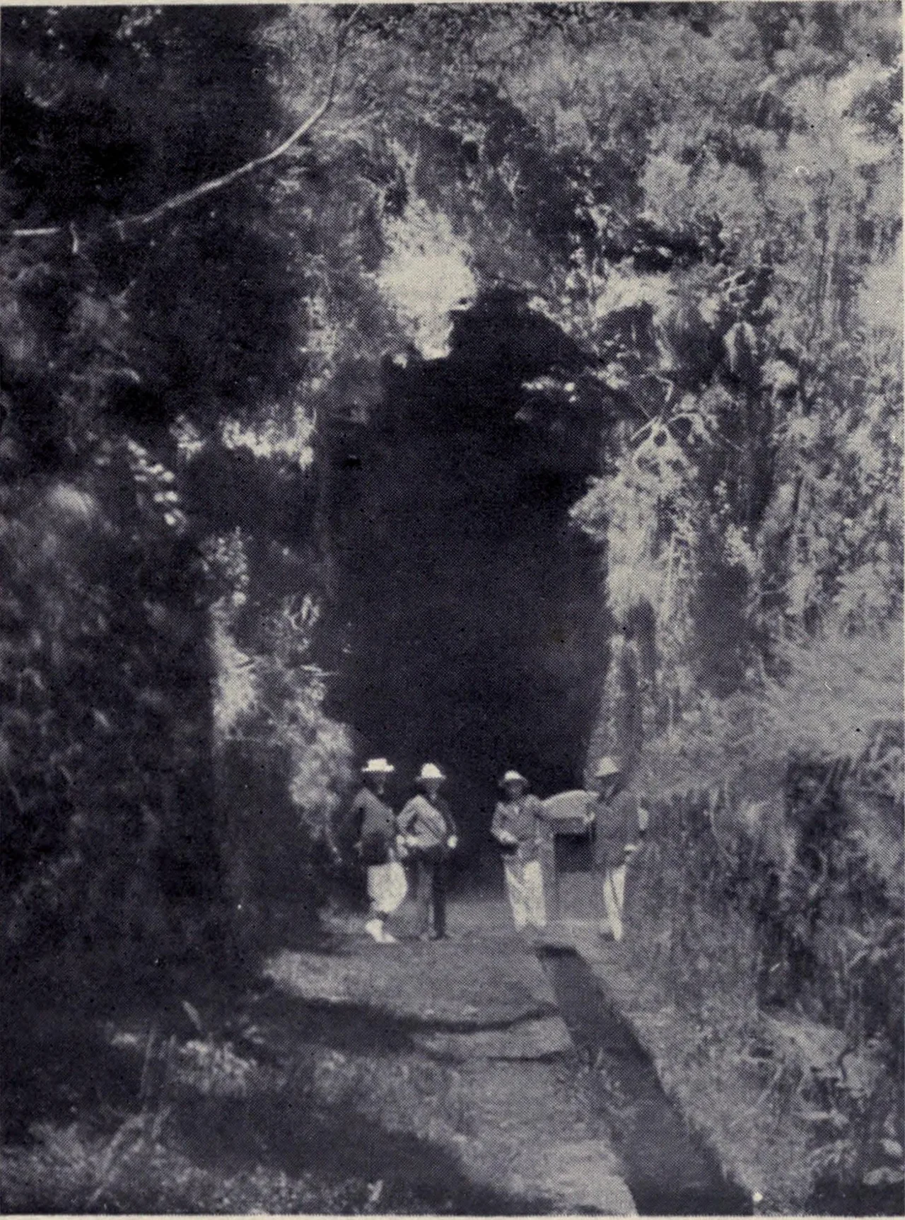 The stone entrance to a levada tunnel at Rabaçal in 1909, with the water channel running into the dark opening