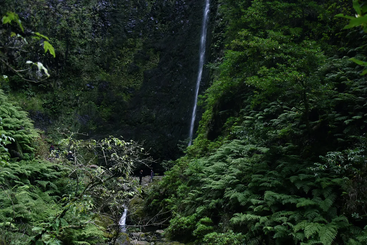 Caminho do Norte, Madeira hiking trail (PR21)