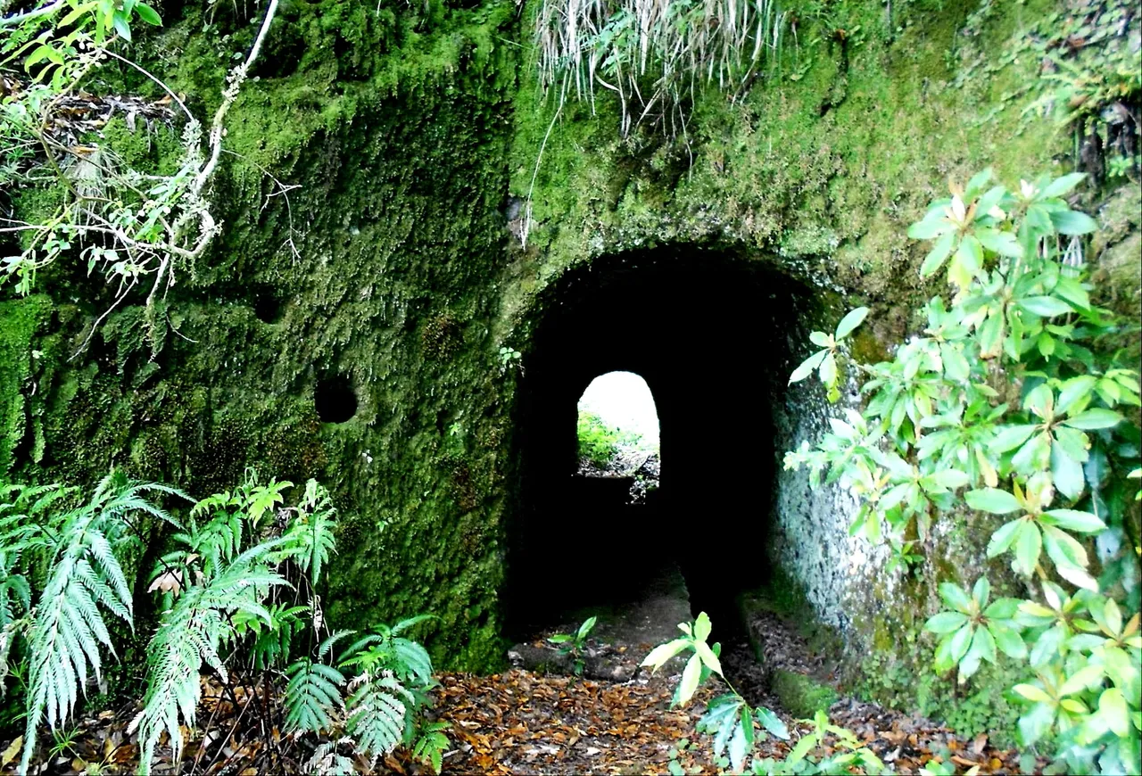 Caminho do Pináculo e Folhadal, Madeira hiking trail (PR17)