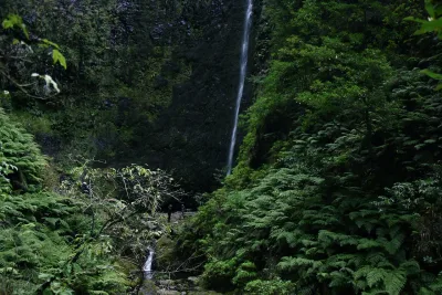 Caminho do Norte, Madeira hiking trail (PR21)