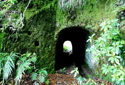 Caminho do Pináculo e Folhadal, Madeira hiking trail (PR17)