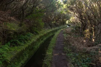 Levada do Alecrim, Madeira hiking trail (PR6.2)