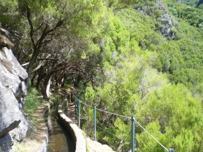 Levada do Caldeirão Verde - Um Caminho para todos, Madeira hiking trail (PR9.1)