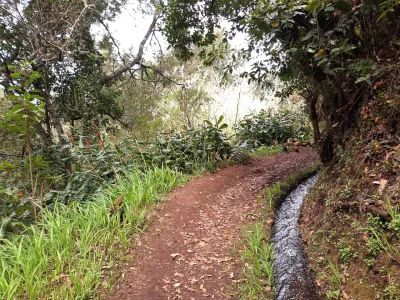 Levada do Moinho, Madeira hiking trail (PR7)