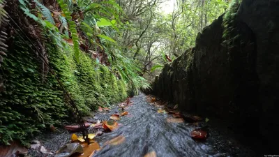 Levada do Poço do Bezerro, Madeira hiking trail (L-BEZERRO)