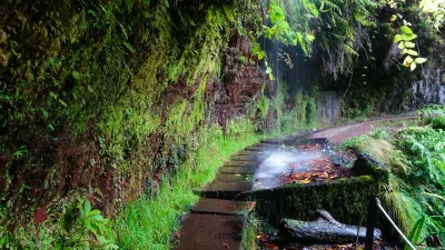 Levada do Rei, Madeira hiking trail (PR18)