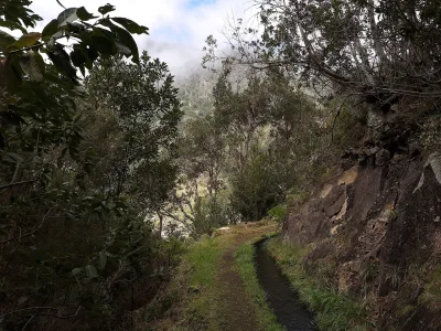 Levada dos Tornos, Madeira hiking trail (L-TORNOS)