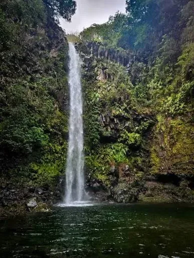 Poço do Candeeiro, Madeira hiking trail (POCO-CANDEEIRO)