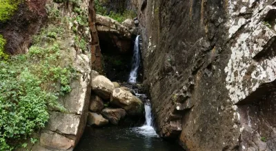 Vereda da Ladeira, Madeira hiking trail (V-LADEIRA)