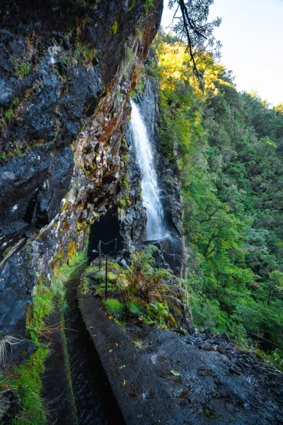Vereda das Feitas, Madeira hiking trail (V-FEITAS)