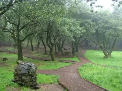 Vereda do Chão dos Louros, Madeira hiking trail (PR22)