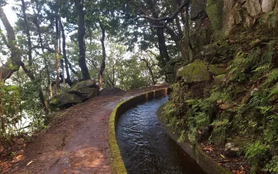 Vereda do Galhano e Levada da Ribeira da Janela, Madeira hiking trail (V-GALHANO)