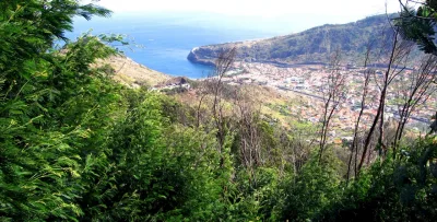 Vereda do Pico Castanho, Madeira hiking trail (V-PICOCASTANHO)