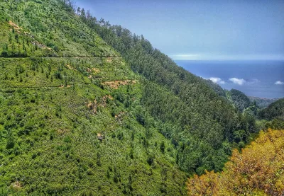Vereda do Túnel do Cavalo, Madeira hiking trail (PR6.6)