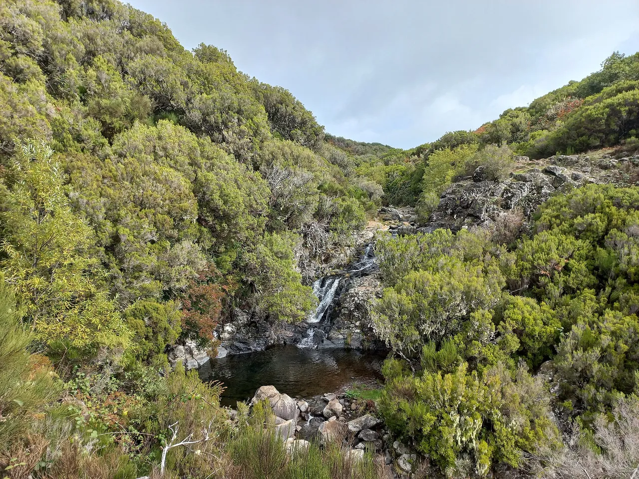 Levada da Rocha Vermelha, Madeira hiking trail (PR28)