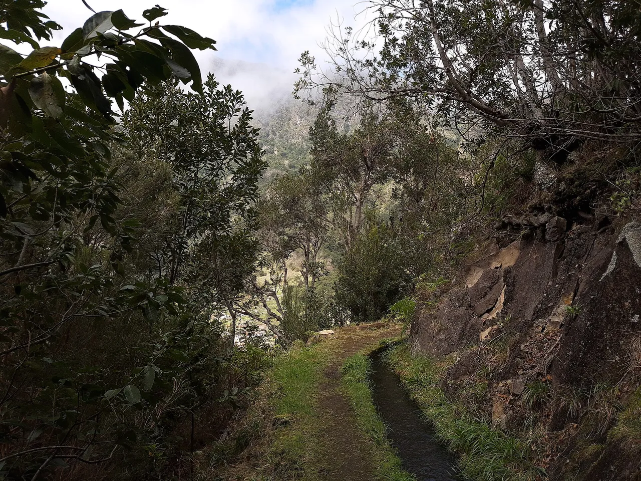 Levada dos Tornos, Madeira hiking trail (L-TORNOS)