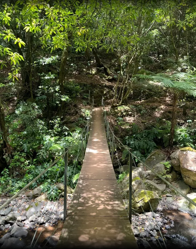 Levada Nova de Santa Cruz, Madeira hiking trail (L-NOVASTCRUZ)
