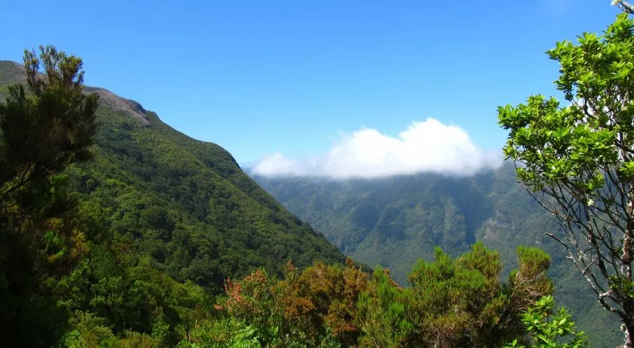 Vereda da Terra Chã, Madeira hiking trail (V-TERRACHA)