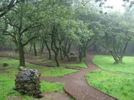 Vereda do Chão dos Louros, Madeira hiking trail in São Vicente (PR22)