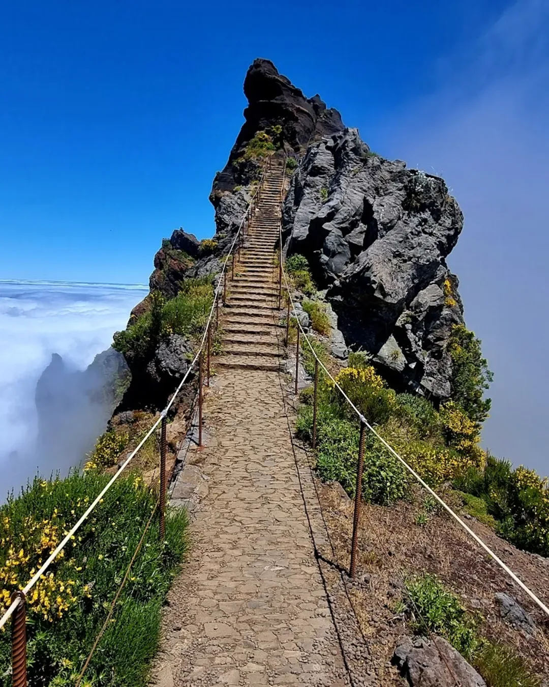 Vereda do Pico Ruivo, Madeira hiking trail (PR1.2)